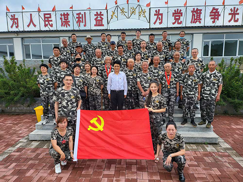 几年来义县留龙沟镇大齐沟村党支部基层治理的几项有效措施